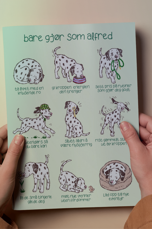 «Bare gjør som Alfred» – plakat med små livsråd