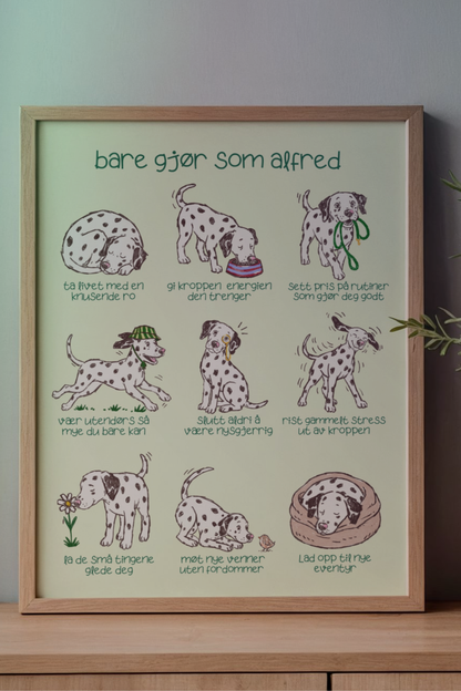 «Bare gjør som Alfred» – plakat med små livsråd